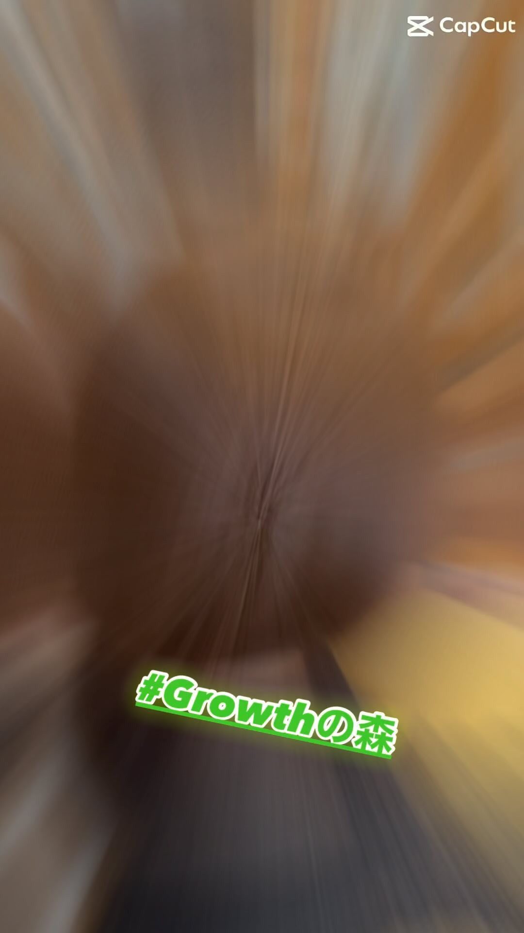 宇都宮で話題の美容院 Growthの森へようこそ！