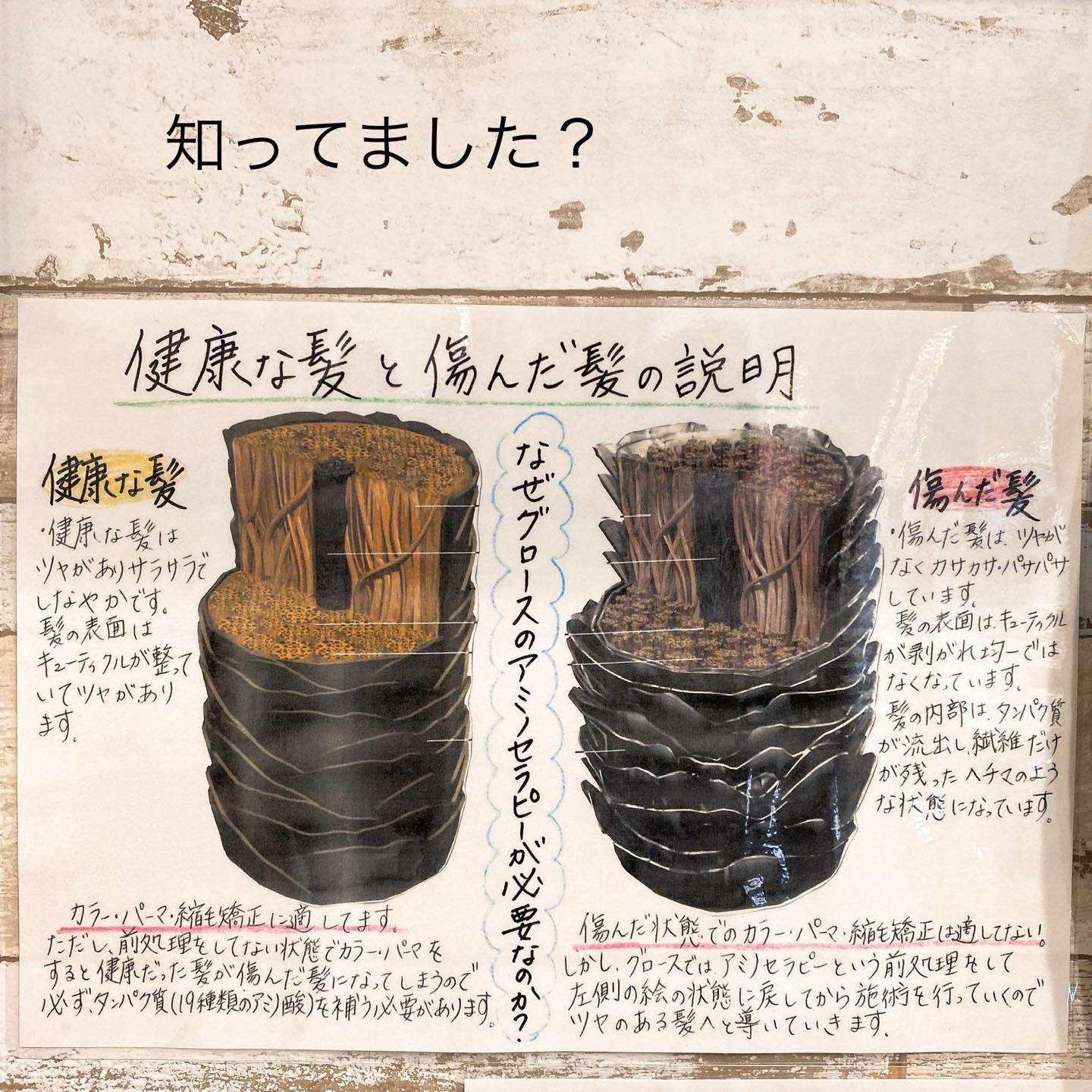 髪の知識知ってますか？