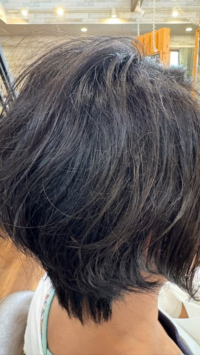 最近のお客様の総集編